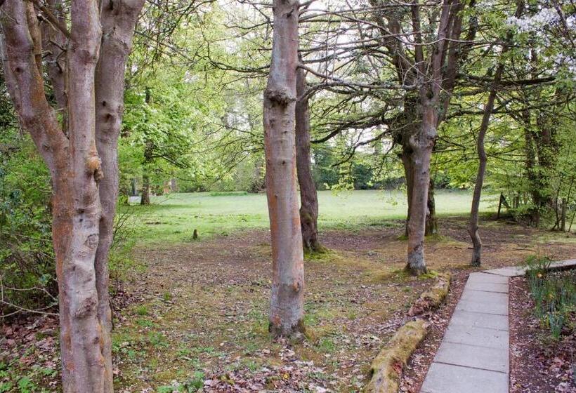 חדר סטנדרט חדר אמבטיה משותף, Bankton House