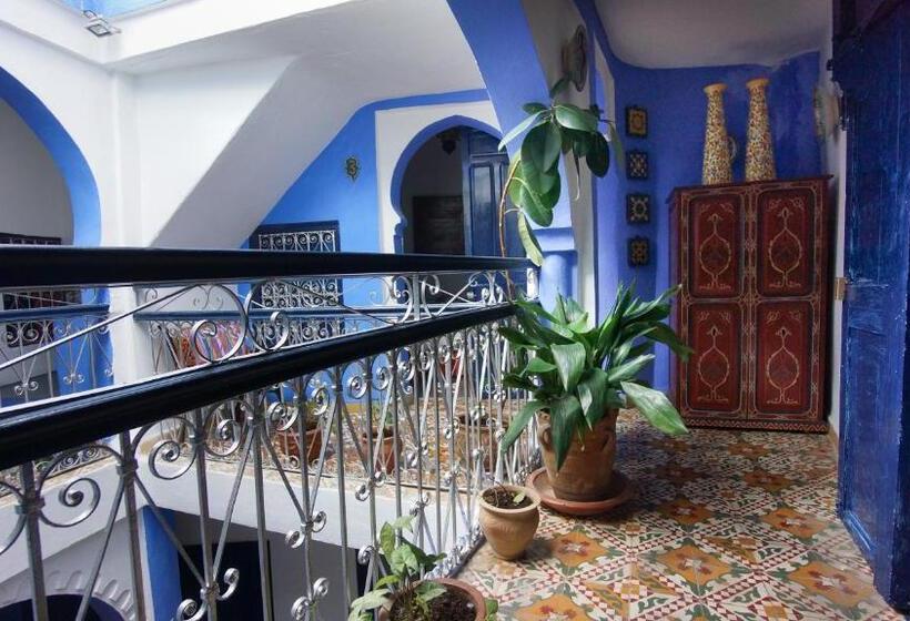 Полулюкс, Casa Miguel
