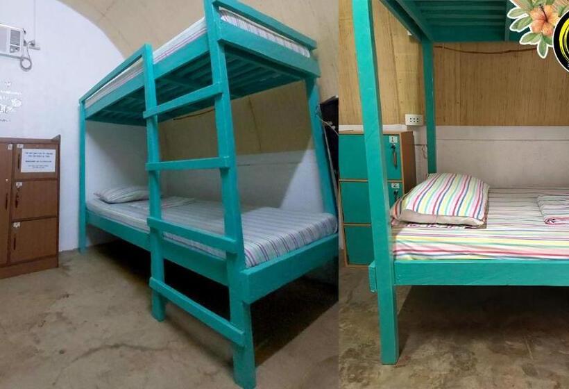 Кровать в Общей Комнате, Love Shack Hostel & Cafe