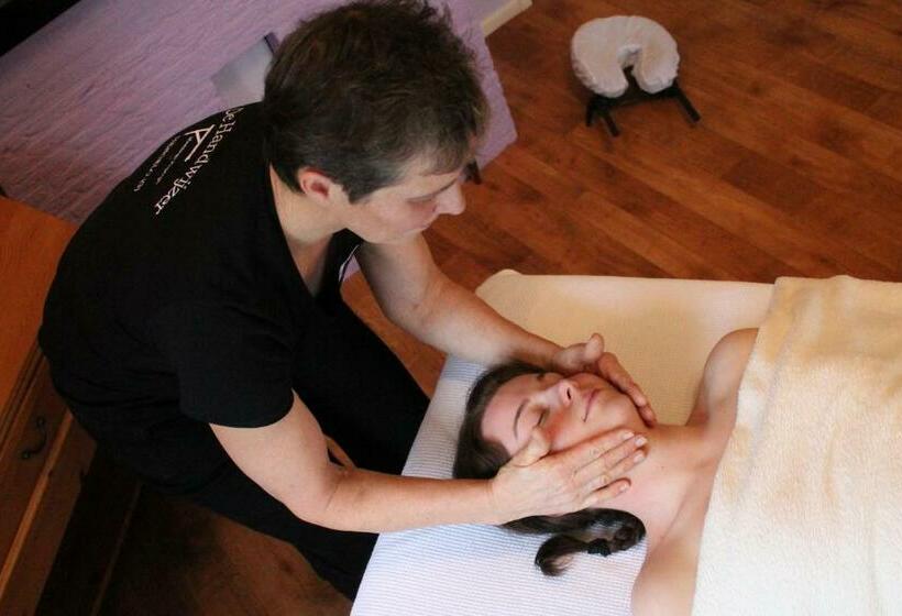 キングサイズベッドのデラックスルーム, B&b De Handwijzer Hengelo