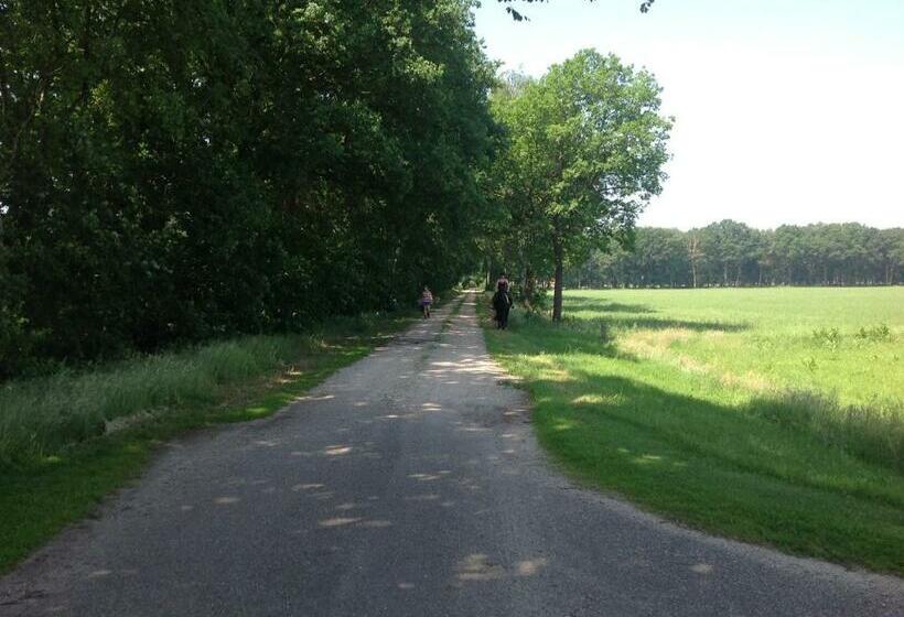 חדר דחוקס עם מיטת קינג, B&b De Handwijzer Hengelo