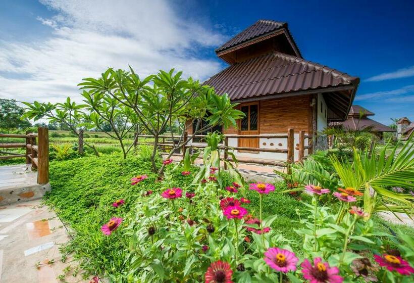 이코노미 룸, Panya Garden Resort