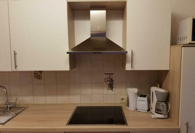 شقة سوبريور غرفة واحدة, Ferienwohnung Wacker, Apartments Und Zimmer