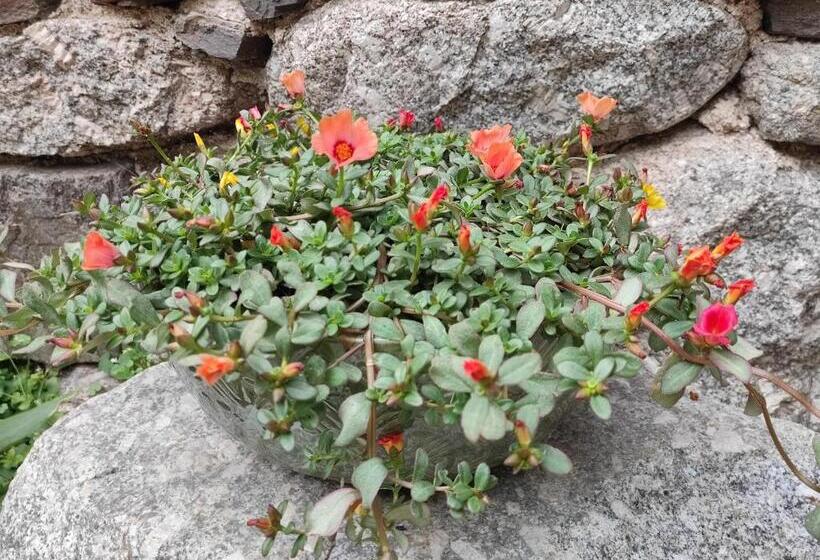 חדר סטנדרט, Le Mas De Ribard