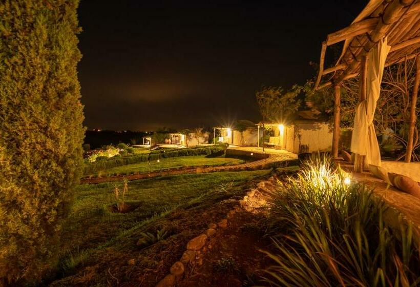 اتاق استاندارد, Safa Boulaouane