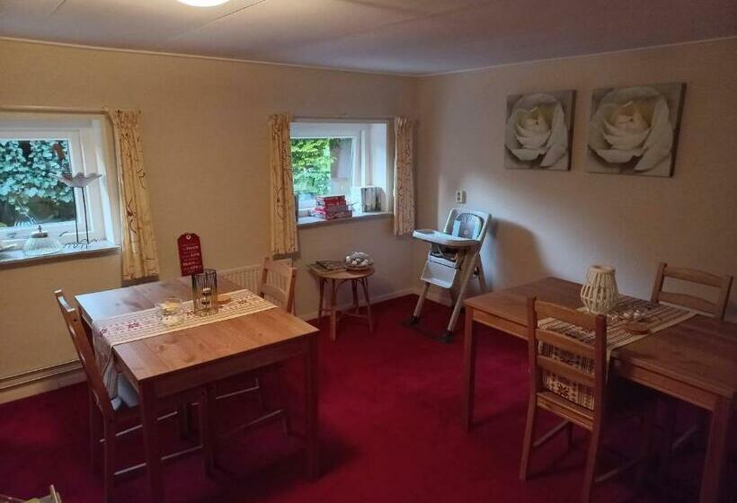 豪华房间, Bron Van Rust