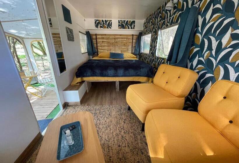 スタンダードルーム, L Intemporelle