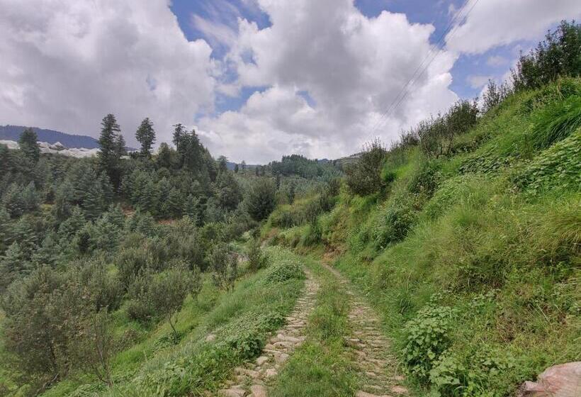 キングサイズベッドのスタンダードルーム, Nirvana Homes Rarta