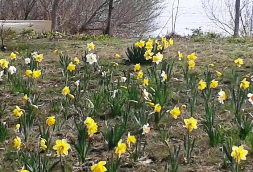 Номер Deluxe, Swanendele Inn