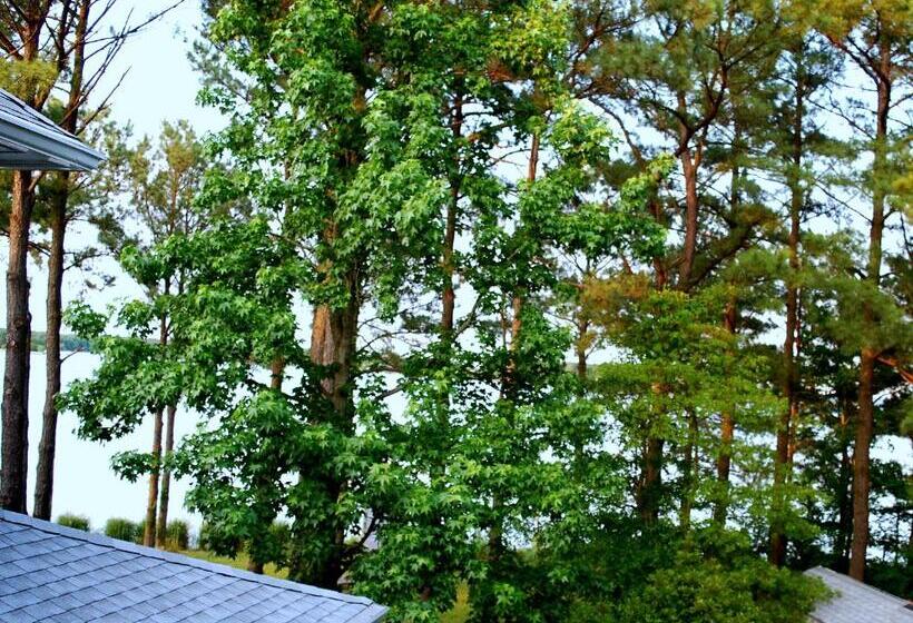 Номер Deluxe Вид на Море с Балконом, Swanendele Inn