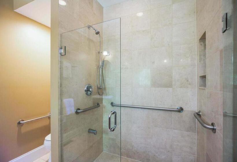 Номер Deluxe Кровать Кинг, Swanendele Inn