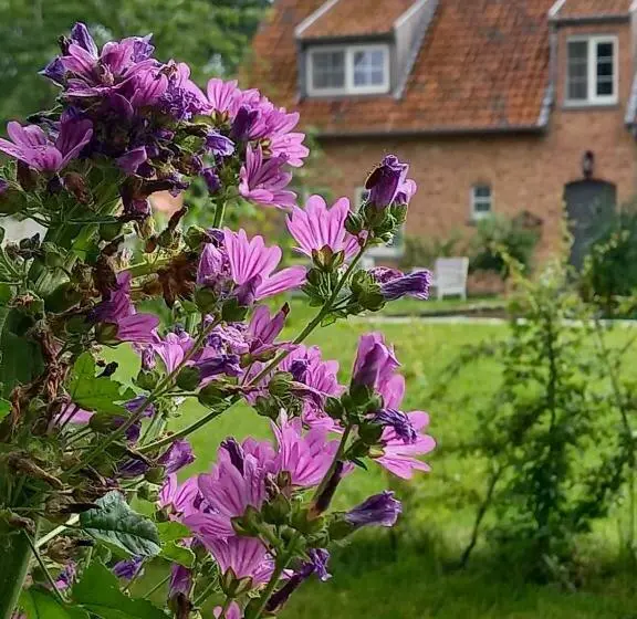 ファミリールーム, Vakantiewoning Victors Hof Tot 4 Pers