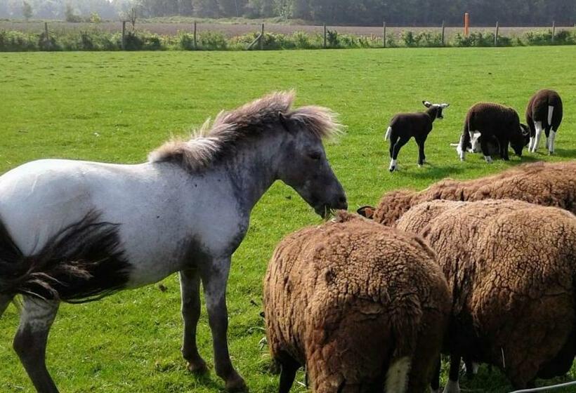 家庭间, Vakantiewoning Victors Hof Tot 4 Pers