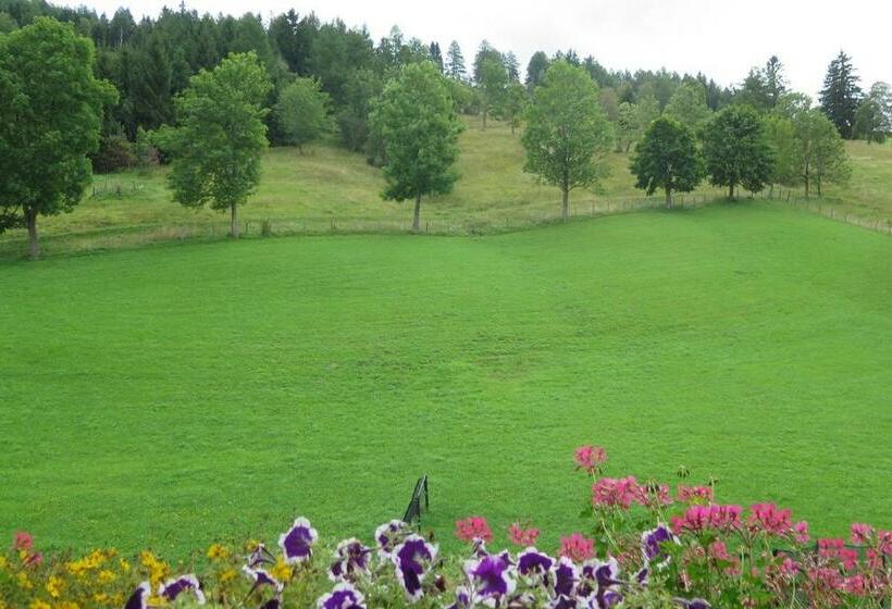 バルコニー付2ベッドルームアパートメント, Bauernhof Trinkergut