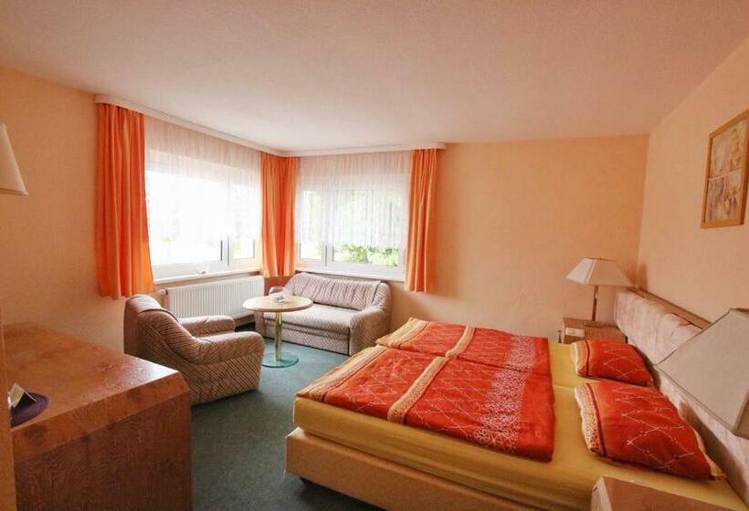 חדר סטנדרט, Pension  Zu Den Linden Trin