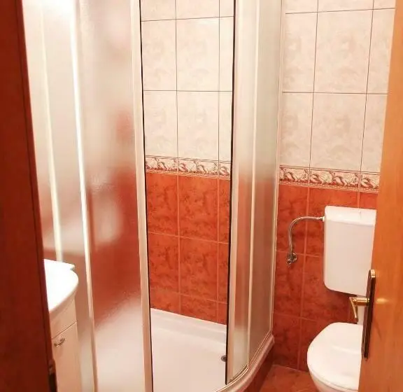 Standard Yhden Hengen Huone, Bed & Breakfast Vila Stanišić