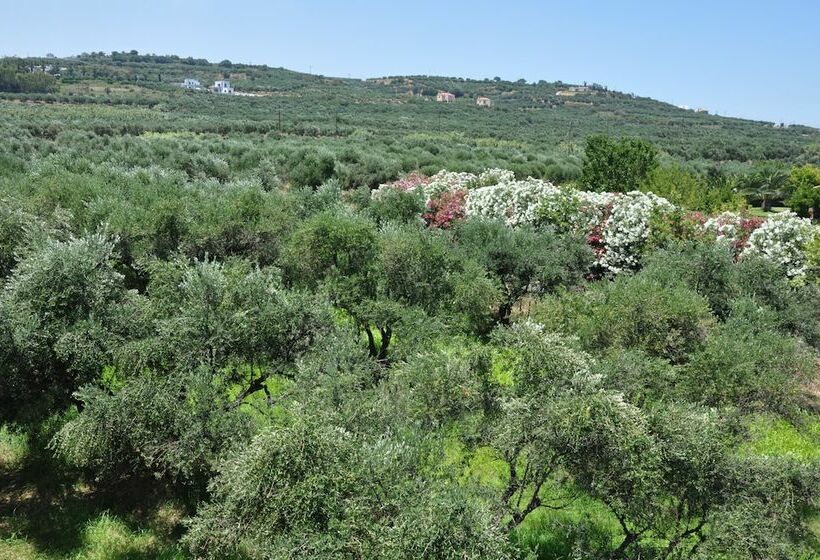 适合残疾人士使用的套间, Eria Resort Accessible Holidays