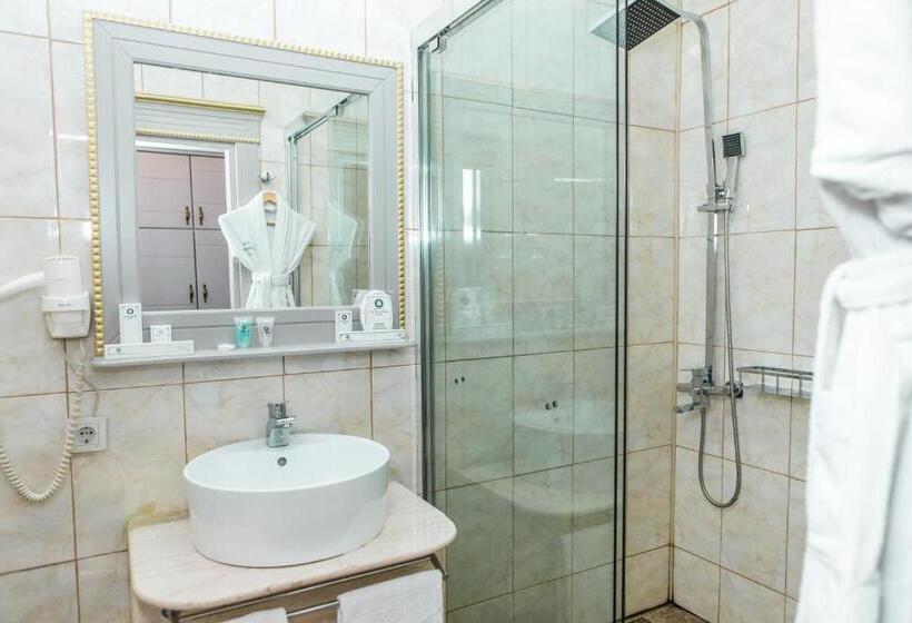 اتاق استاندارد, Grand Sapphire