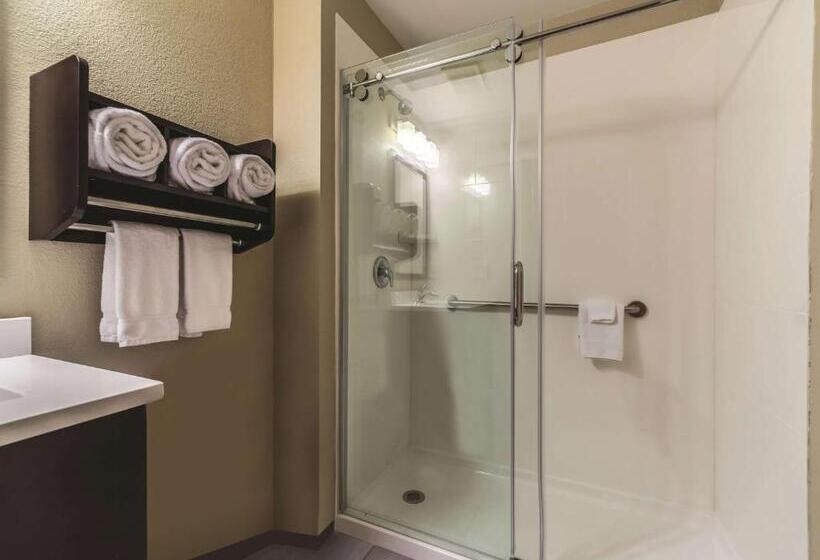 带大床的标准间, La Quinta By Wyndham Collinsville St. Louis