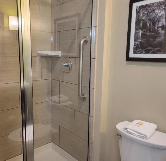 Standard Værelse King Size Seng, La Quinta By Wyndham Tyler   University Area