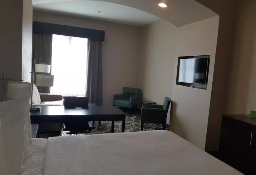 キングサイズベッドのデラックススイート, La Quinta By Wyndham Tyler   University Area