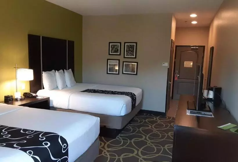 身障者適用スタンダードルーム, La Quinta By Wyndham Tyler   University Area
