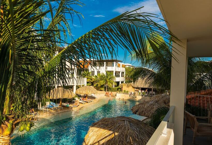 آپارتمان 2 خوابه, Resort Bonaire