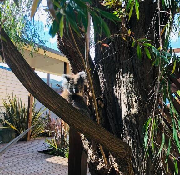 キングサイズベッドのスタンダードルーム, Sandpiper Motel Apollo Bay