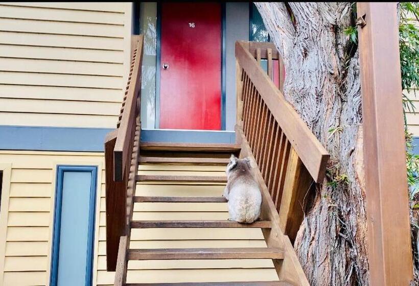 Номер Deluxe, Sandpiper Motel Apollo Bay