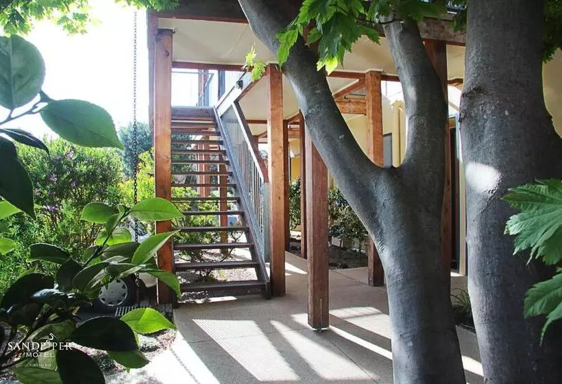 テラス付きスタンダードルーム, Sandpiper Motel Apollo Bay