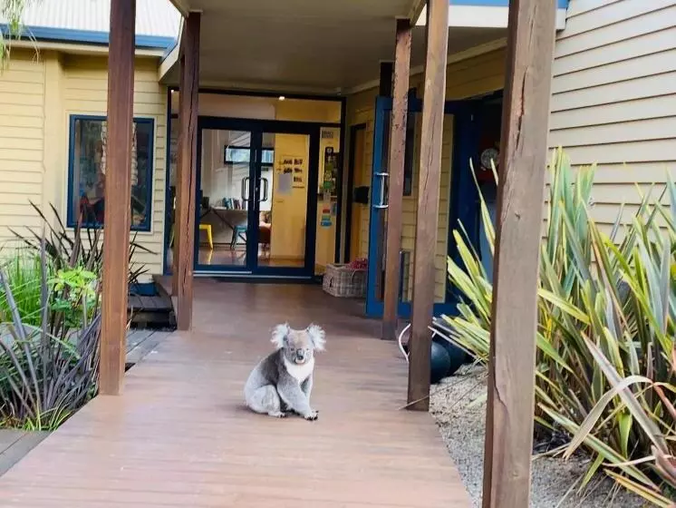 キングサイズベッドのスタンダードルーム, Sandpiper Motel Apollo Bay