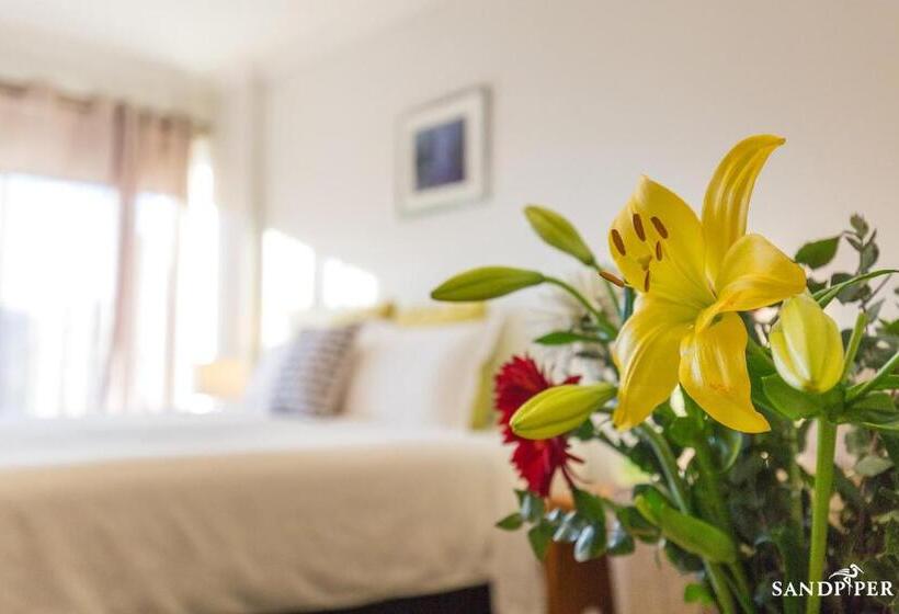 ダブルベッドスタンダードルーム, Sandpiper Motel Apollo Bay