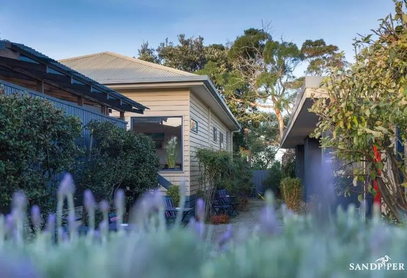 ２ベッドルームアパートメント, Sandpiper Motel Apollo Bay