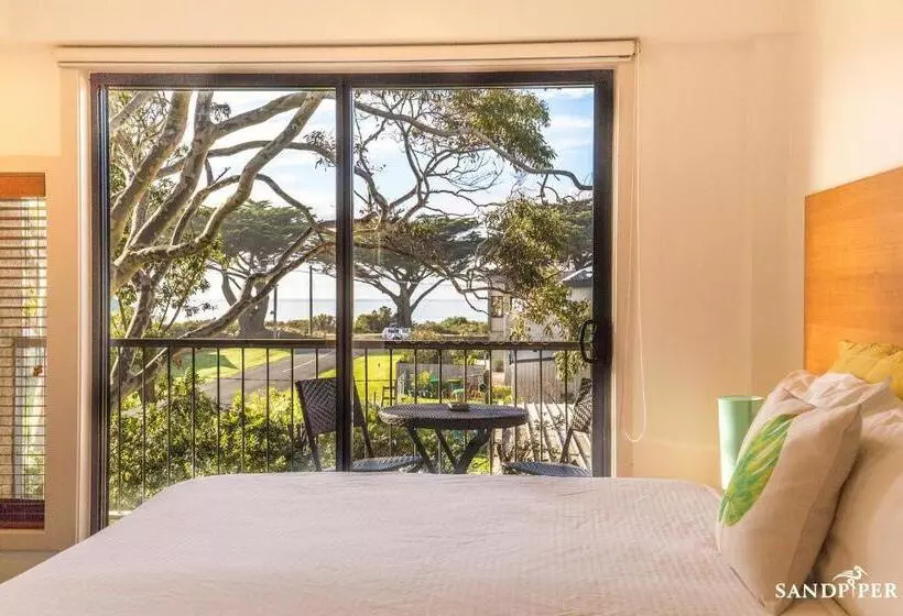 キングサイズベッドのスタンダードルーム, Sandpiper Motel Apollo Bay
