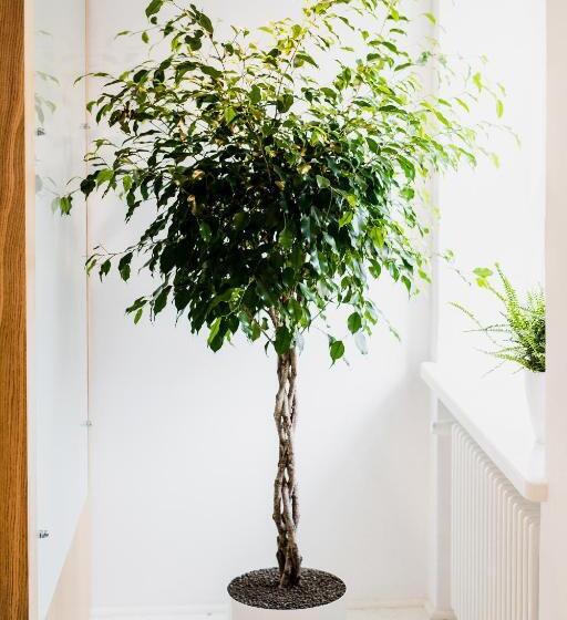 استودیوی استاندارد با چشمانداز شهر, Apartamenty Browar Perła   Free Parking