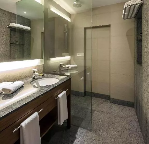 スタンダードルーム, Hyatt Place Hampi