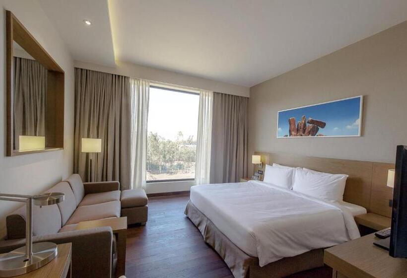 带大床的标准间, Hyatt Place Hampi