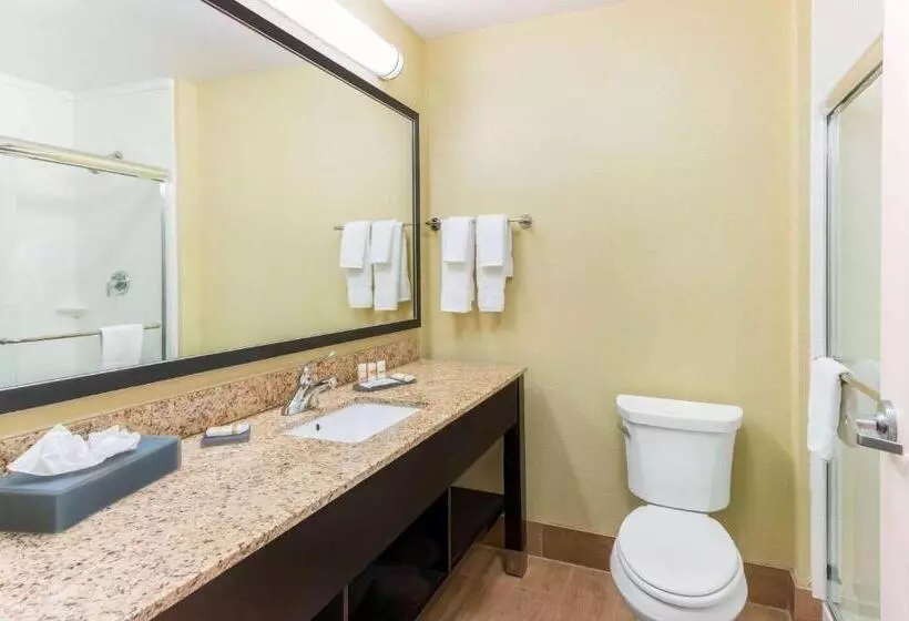 スタンダードルーム, La Quinta By Wyndham Carlsbad