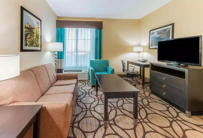 キングサイズベッドのエクゼクティブルーム, La Quinta By Wyndham Carlsbad