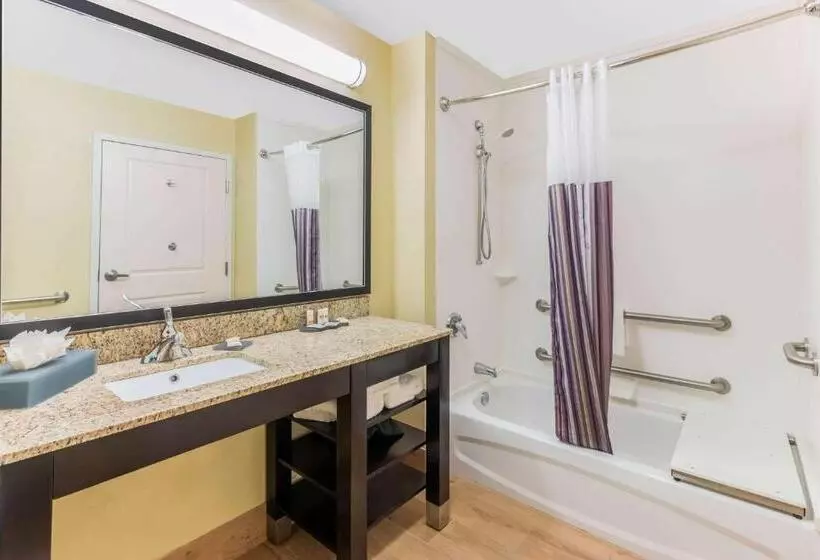 身障者適用キングサイズベッドルーム, La Quinta By Wyndham Carlsbad