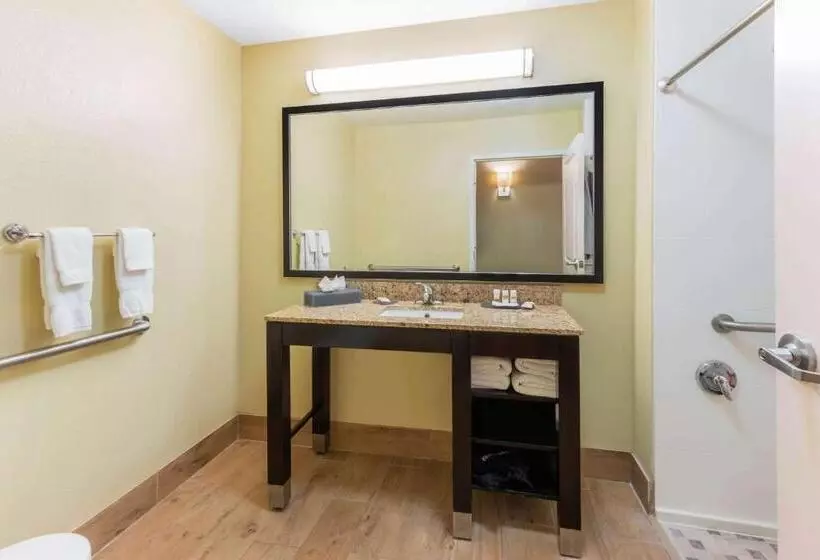 身障者適用キングサイズベッドルーム, La Quinta By Wyndham Carlsbad