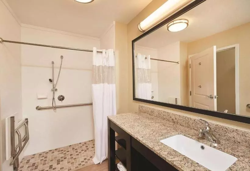 身障者適用キングサイズベッドルーム, La Quinta By Wyndham Carlsbad