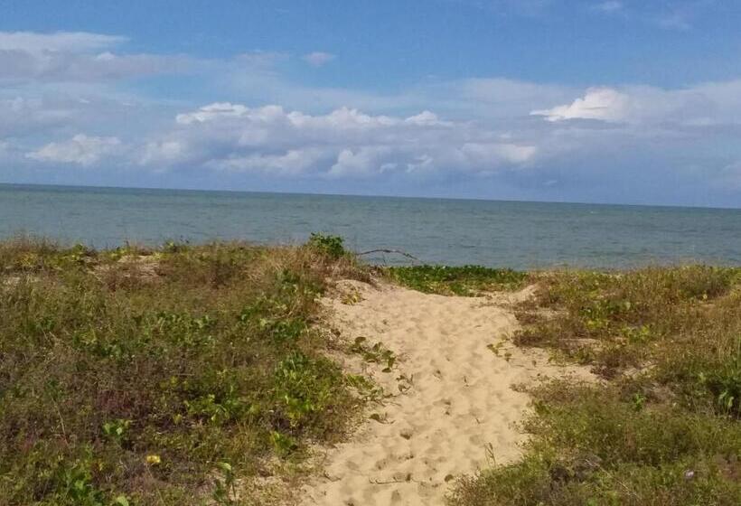 オーシャンビューバルコニー付きワンベッドルームアパートメント, The York Beachfront Holiday Apartments
