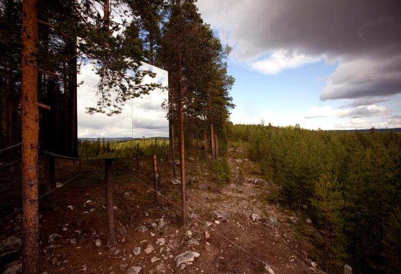 חדר סטנדרט, Treehotel