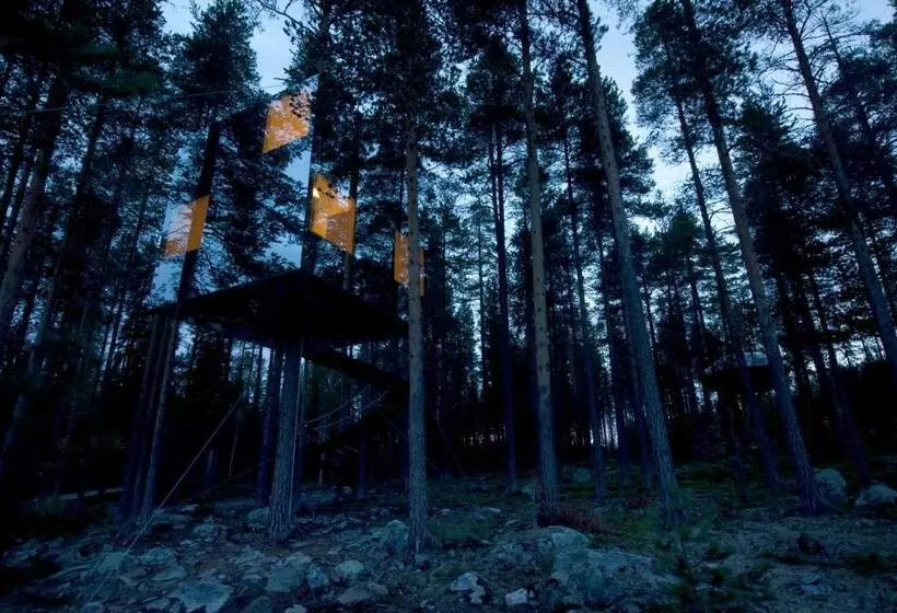 スタンダードルーム, Treehotel