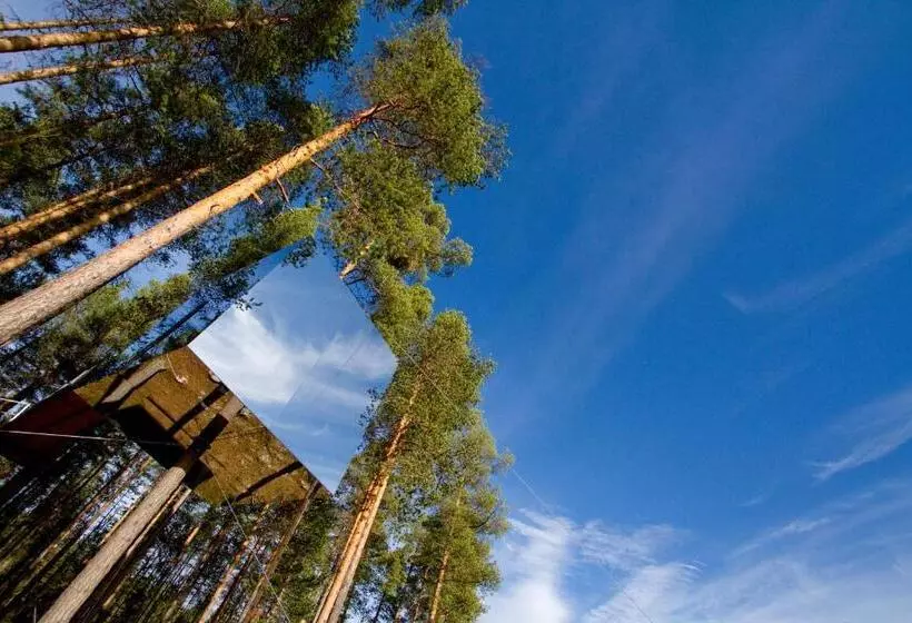 スタンダードルーム, Treehotel