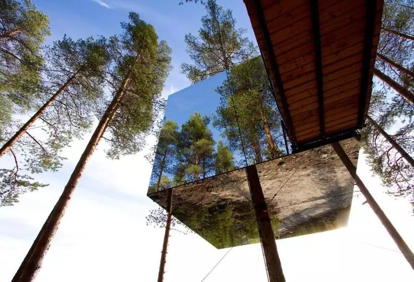 スタンダードルーム, Treehotel