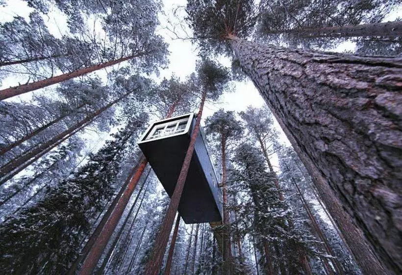 キャビン, Treehotel