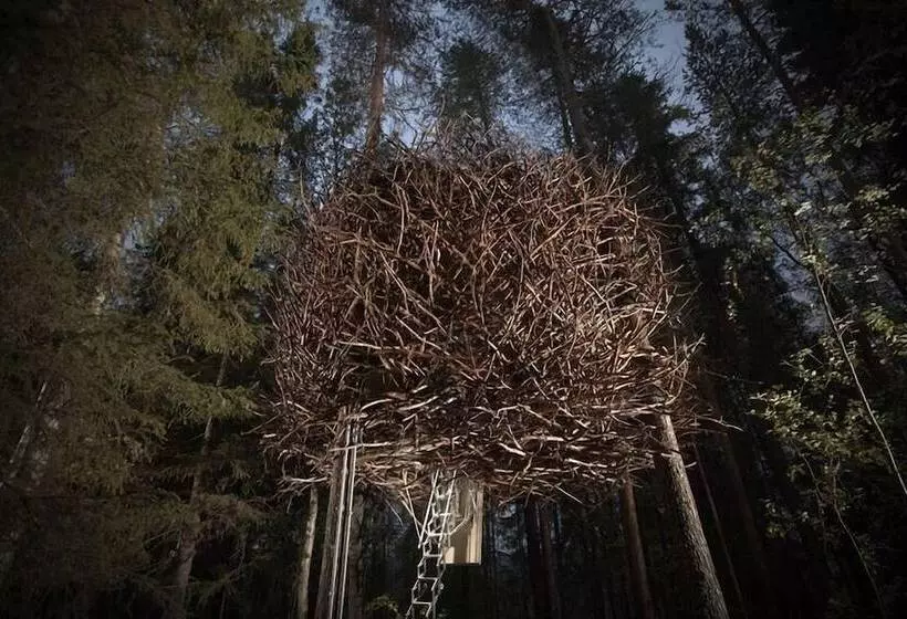 スタンダードルーム, Treehotel