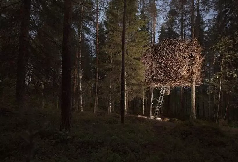 スタンダードルーム, Treehotel